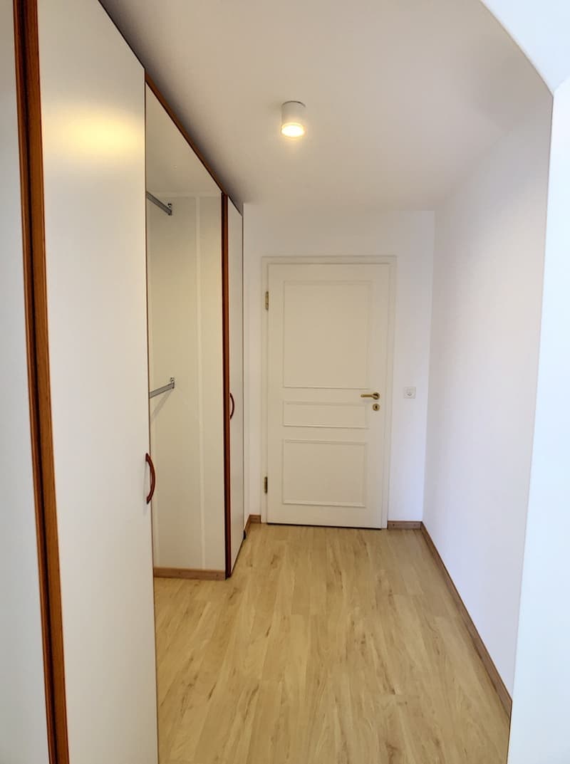 Magnifique appartement de 5.5 pièces (13)
