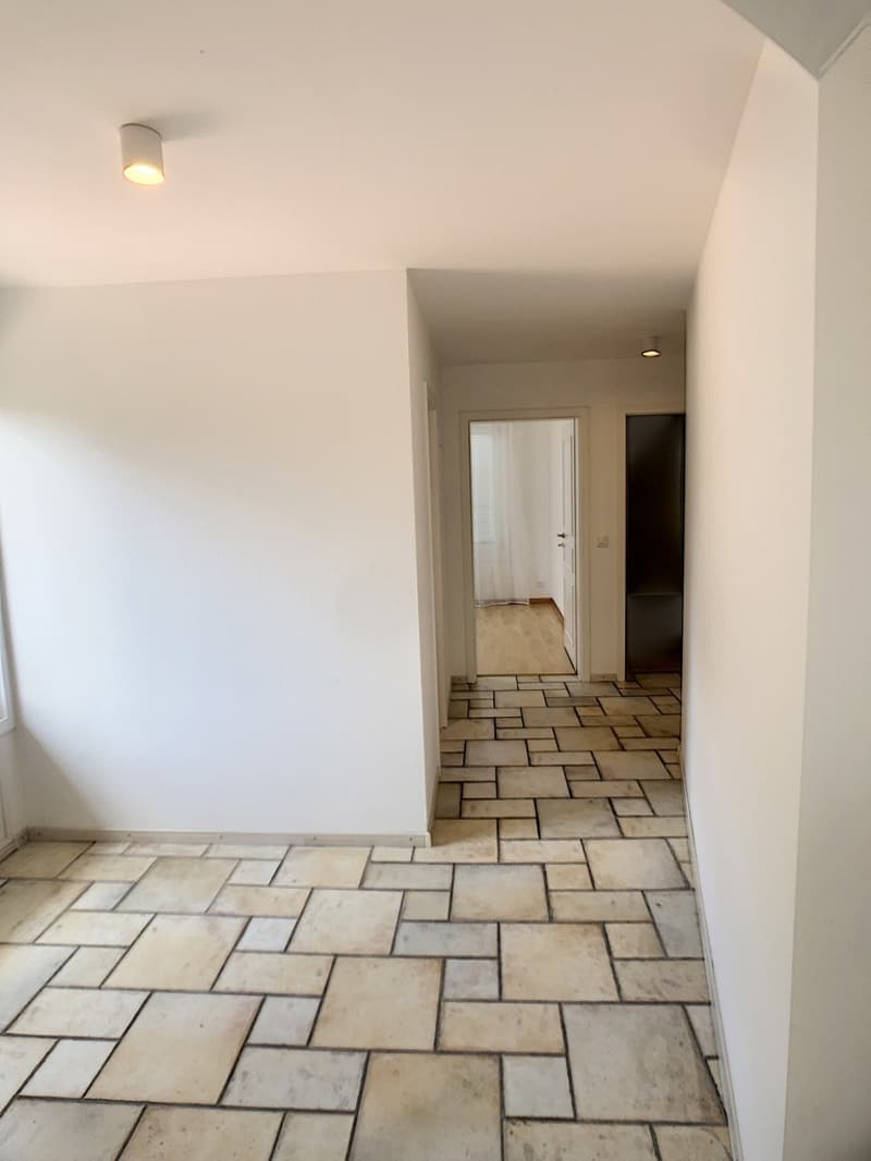 Magnifique appartement de 5.5 pièces (9)