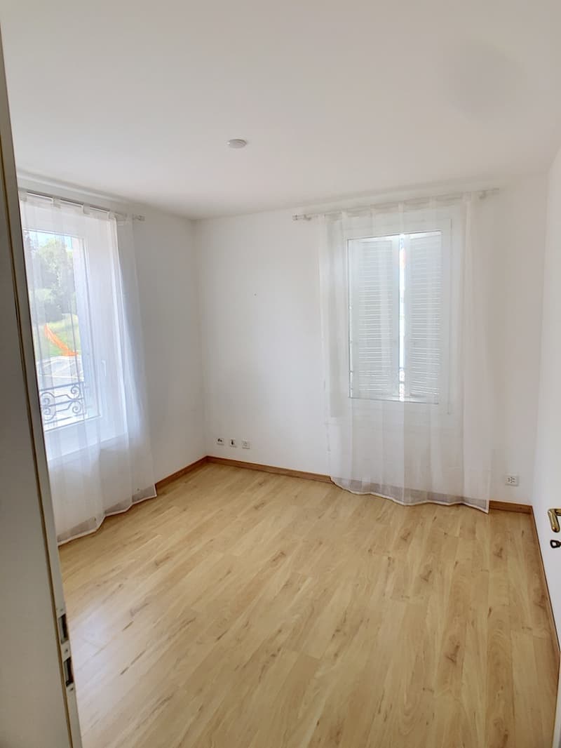 Magnifique appartement de 5.5 pièces (4)