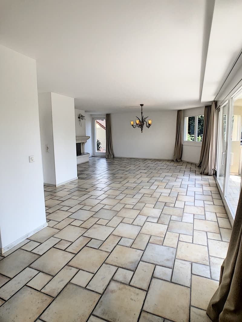 Magnifique appartement de 5.5 pièces (5)