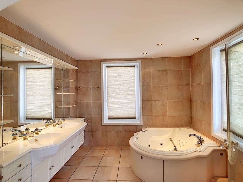 Magnifique appartement de 5.5 pièces (3)
