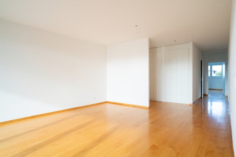 Magnifique appartement avec échappée sur le lac (6)