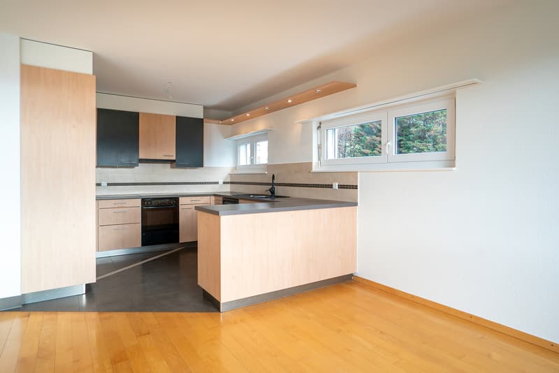 Magnifique appartement avec échappée sur le lac (4)