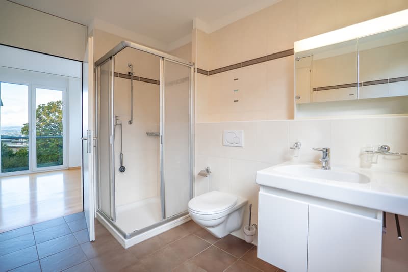 Magnifique appartement avec échappée sur le lac (11)