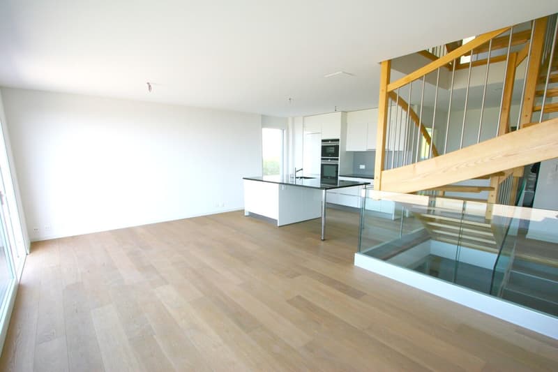 Superbe maison Jumelle (B2) de 6,5 pièces avec vue imprenable (6)