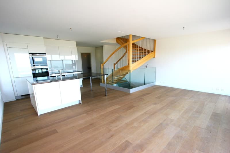 Superbe maison Jumelle (B2) de 6,5 pièces avec vue imprenable (4)