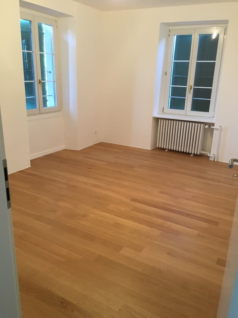 Bel appartement duplex avec vue imprenable sur le lac (4)