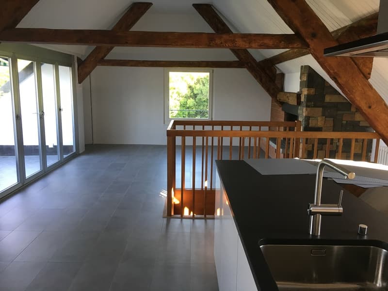 Bel appartement duplex avec vue imprenable sur le lac (3)