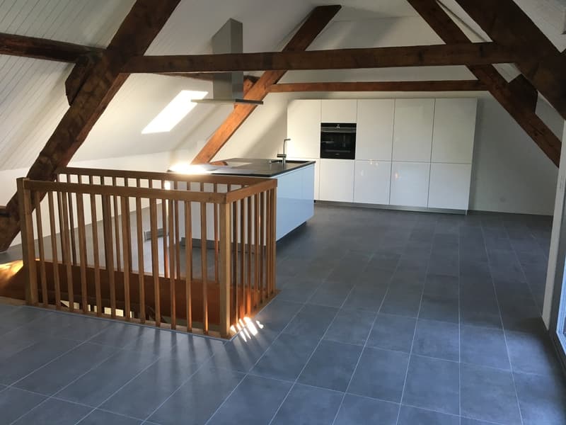 Bel appartement duplex avec vue imprenable sur le lac (2)
