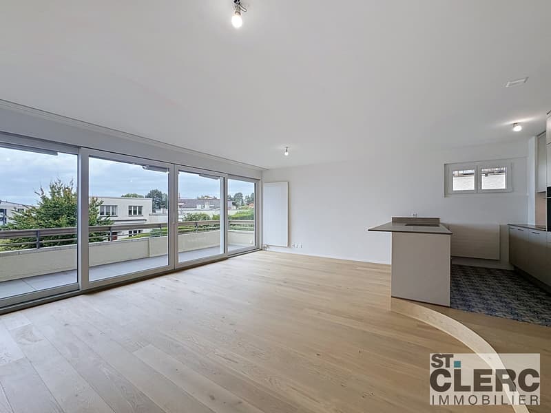 Magnifique appartement en duplex avec balcon et jardin (5)