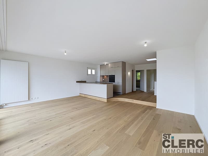 Magnifique appartement en duplex avec balcon et jardin (1)