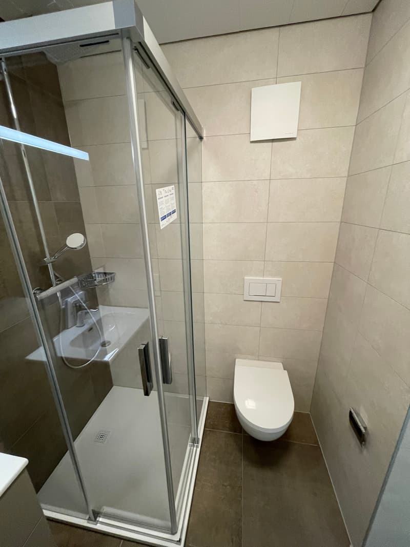 Nouvelle construction - Appartement/Duplex à louer à Champagne (7)