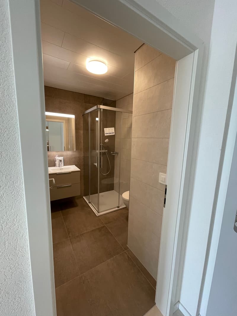 Nouvelle construction - Appartement/Duplex à louer à Champagne (6)