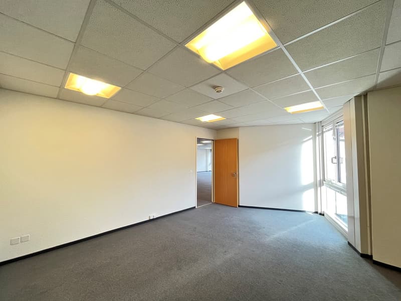 Empty room with white walls and gray floor, ceiling with lights and an open door