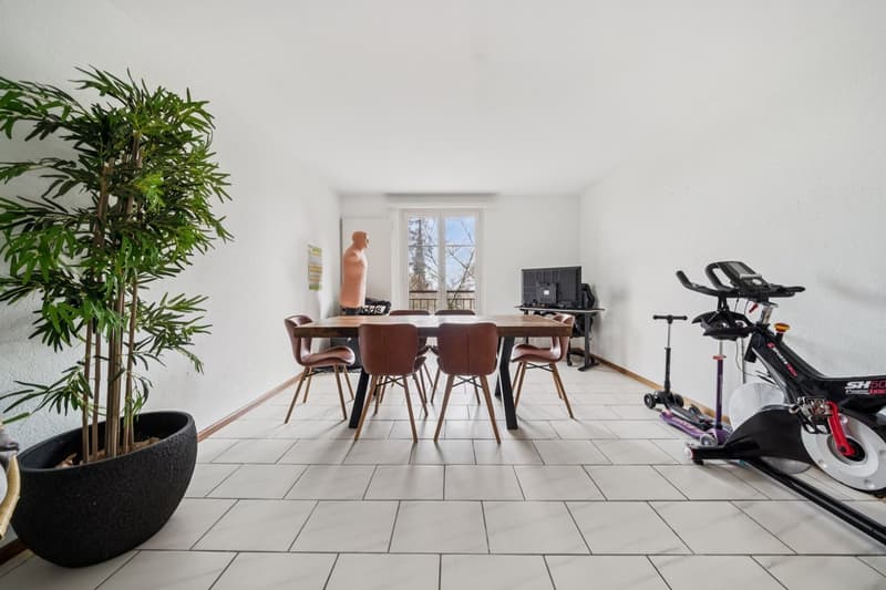 Maison de maître composée de 2 appartements (5)