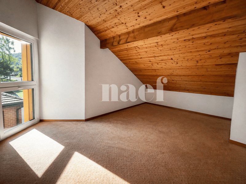 Spacieux duplex de 5 pièces (9)
