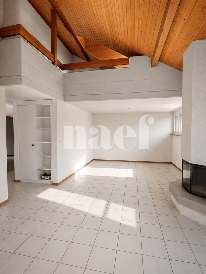 Spacieux duplex de 5 pièces (5)
