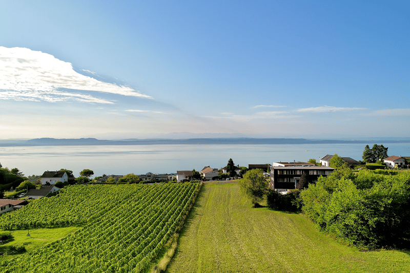 Abbaye 18 - Villas avec vue panoramique sur le lac (5)