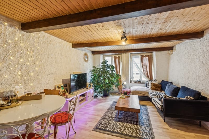 Immeuble de rendement de 3 appartements (5)