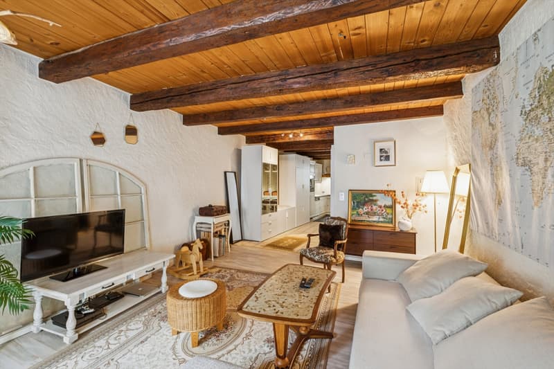 Immeuble de rendement de 3 appartements (10)