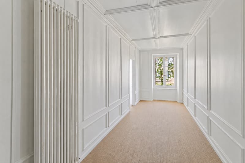 Duplex de 5.5 pièces dans une demeure historique (5)