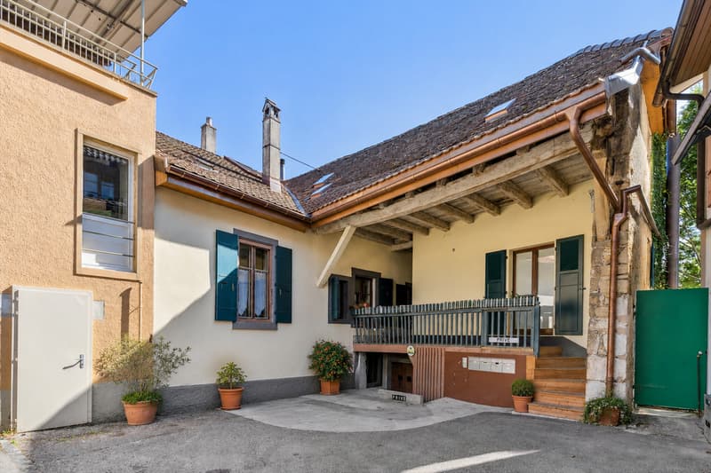 Duplex de 5.5 pièces dans une demeure historique (6)