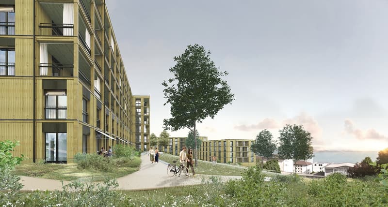 Concept B.180 - Appartement 3.5 pièces - Lot A16-5 (1)