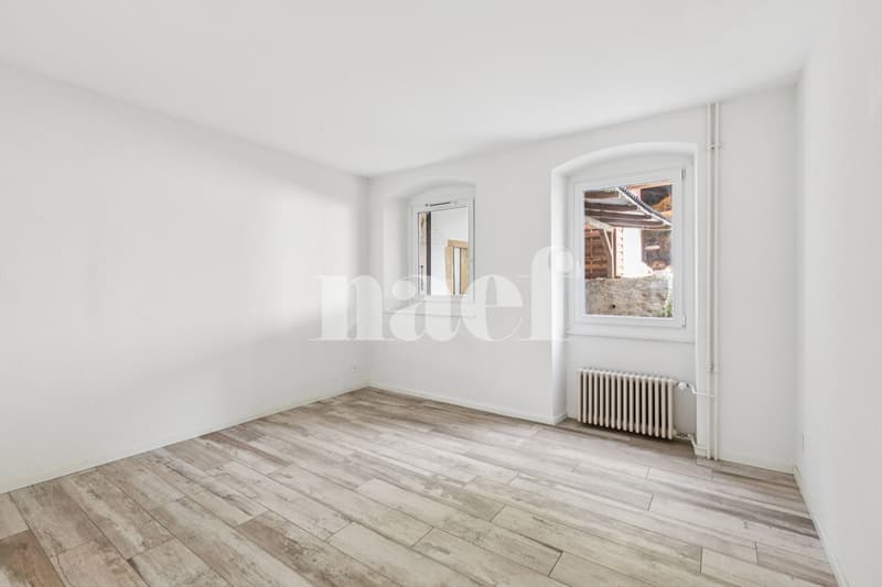 4.5 pièces rénové dans une belle bâtisse (10)