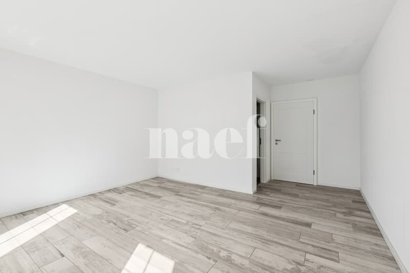 4.5 pièces rénové dans une belle bâtisse (5)