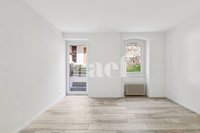 4.5 pièces rénové dans une belle bâtisse (8)