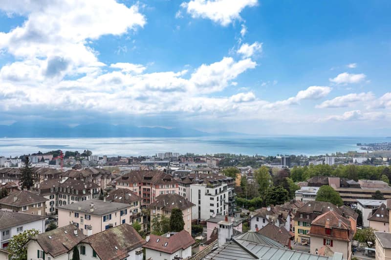 Appartement de 2.5 pièces avec une vue panoramique à vendre à Lausanne (2)