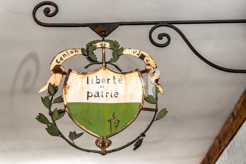 Charmante et spacieuse maison dans un quartier résidentiel (6)