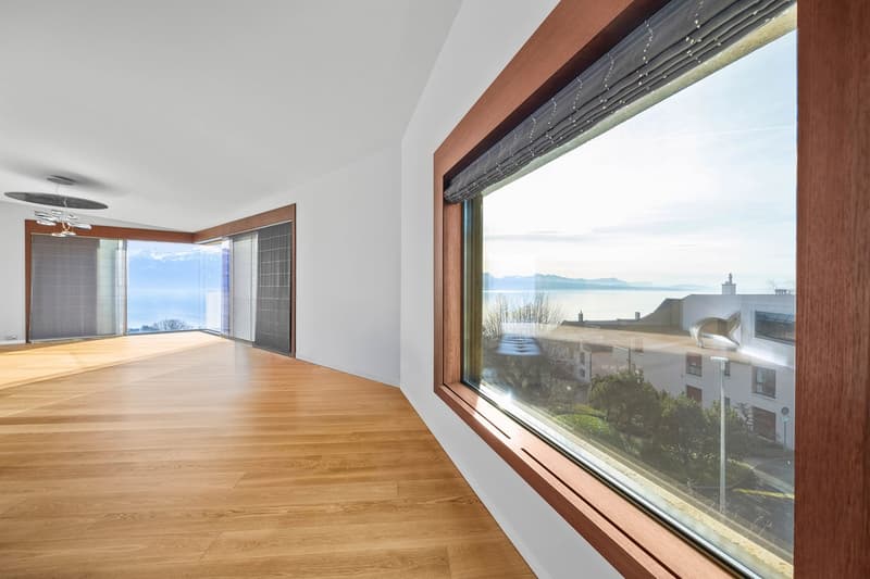 Attique contemporain avec panorama spectaculaire (5)