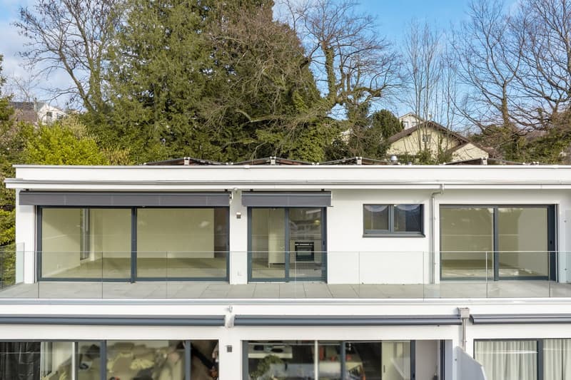 Attique de 3,5 pièces avec vue panoramique (9)