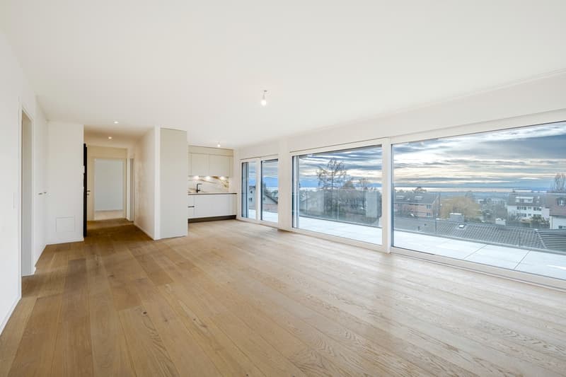 Attique de 3,5 pièces avec vue panoramique (2)