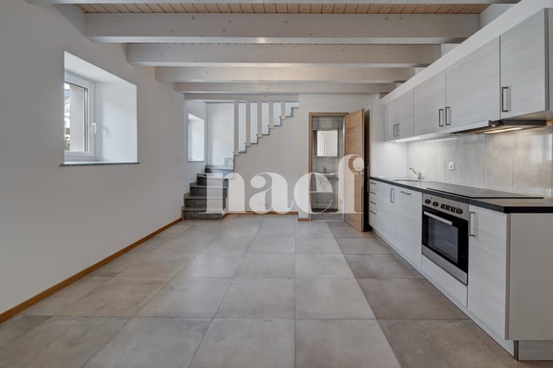 Maison de village avec surface bureau indépendante (3)