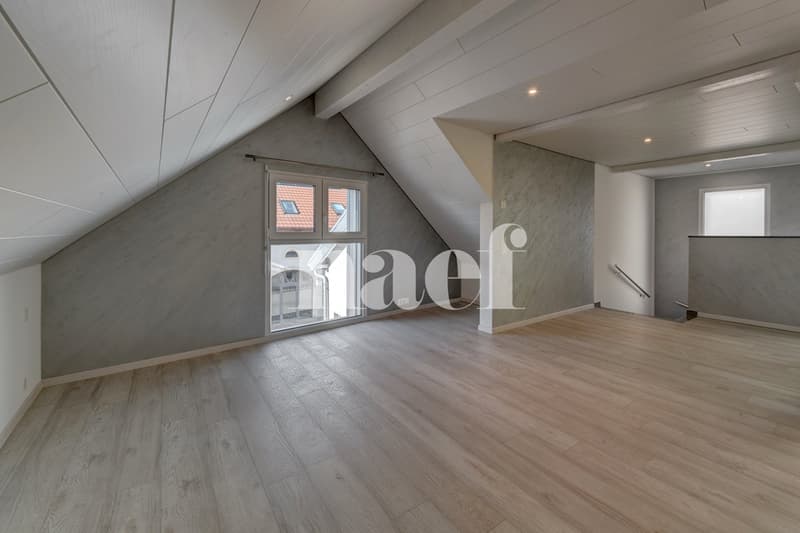 Maison de village avec surface bureau indépendante (6)