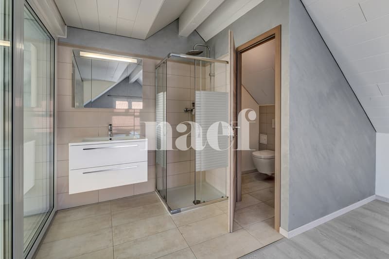 Maison de village avec surface bureau indépendante (8)