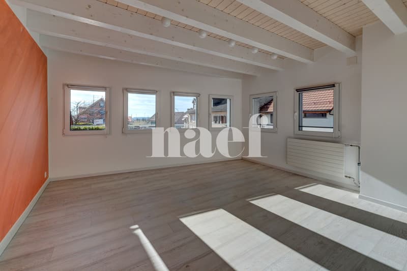 Maison de village avec surface bureau indépendante (10)