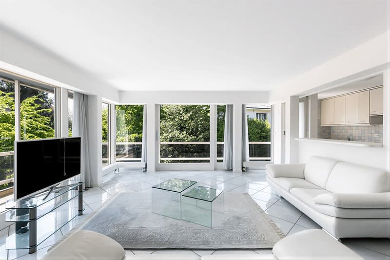 Appartement spacieux et lumineux dans un quartier recherché (2)