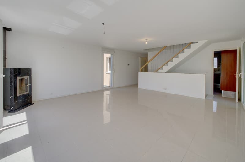 Villa familiale jumelée de 5,5 pièces (3)