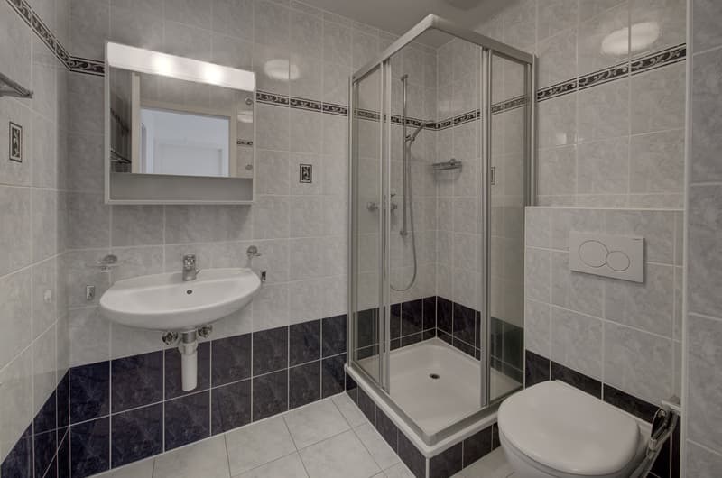 Villa familiale jumelée de 5,5 pièces (10)