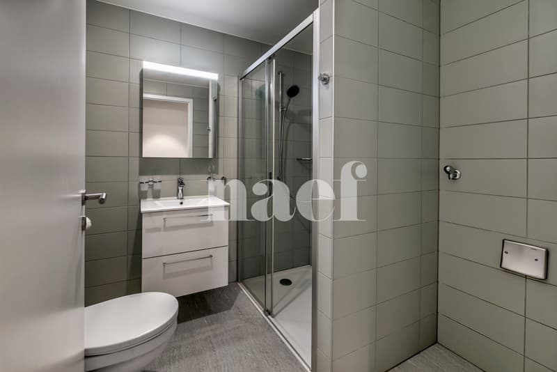 Magnifique appartement de 4.5 pièces avec balcon/loggia (8)