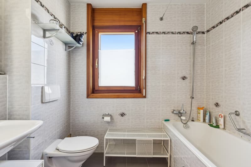 Magnifique appartement de 3.5 pièces (6)