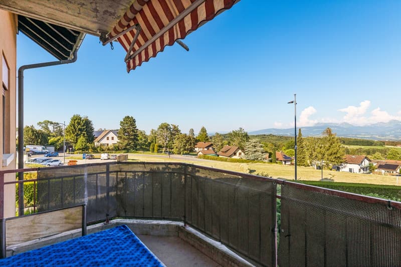 Magnifique appartement de 3.5 pièces (7)