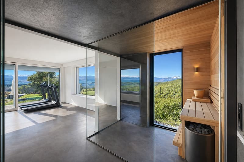 Une signature architecturale face au Léman (7)