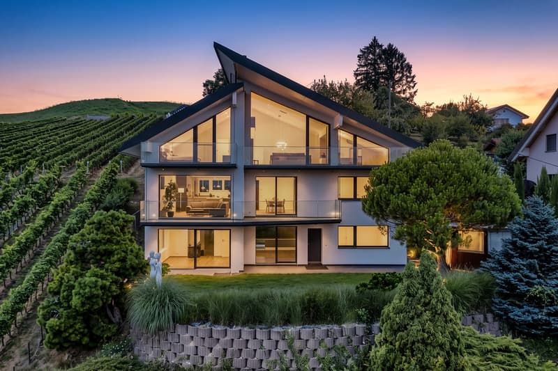 Une signature architecturale face au Léman (12)