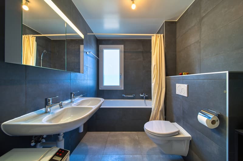 Bel appartement traversant de 3.5 pièces avec échappée lac (4)
