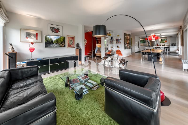 Magnifique appartement en duplex avec terrasse et jardin (3)