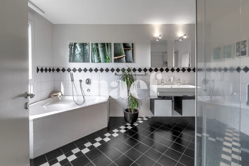 Magnifique appartement en duplex avec terrasse et jardin (11)